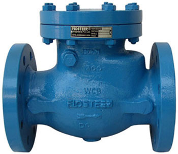 check valve