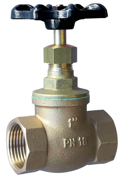 globe valve