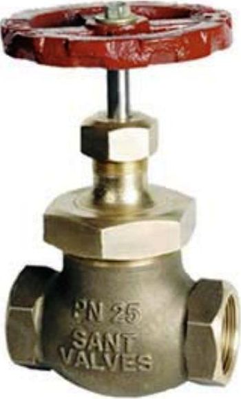 globe valve